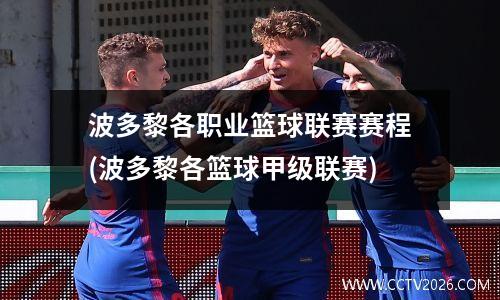 波多黎各职业篮球联赛赛程(波多黎各篮球甲级联赛)