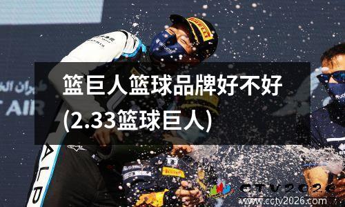 篮巨人篮球品牌好不好(2.33篮球巨人)