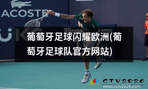 葡萄牙足球闪耀欧洲(葡萄牙足球队官方网站)