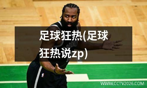 足球狂热(足球狂热说zp)