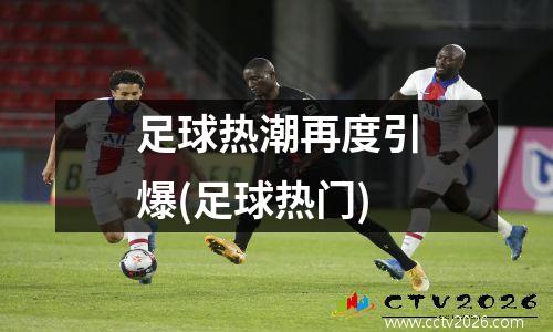 足球热潮再度引爆(足球热门)