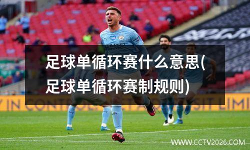 足球单循环赛什么意思(足球单循环赛制规则)