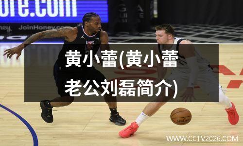 黄小蕾(黄小蕾老公刘磊简介)