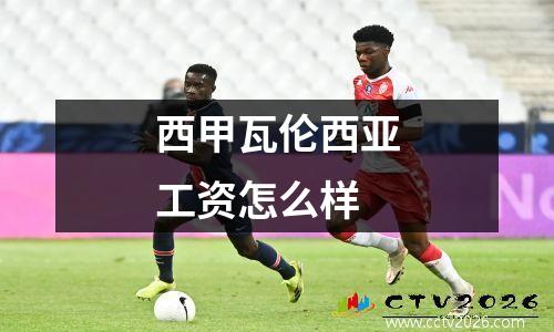 西甲瓦伦西亚工资怎么样