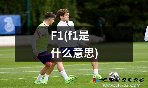 F1(f1是什么意思)