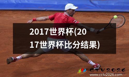 2017世界杯(2017世界杯比分结果)