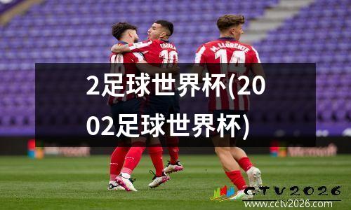2足球世界杯(2002足球世界杯)