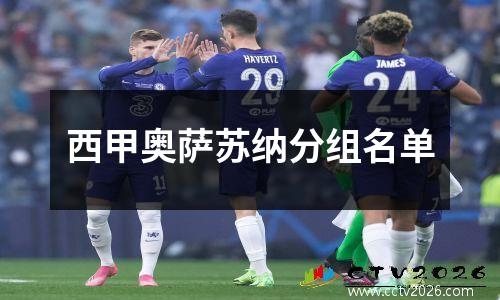 西甲奥萨苏纳分组名单