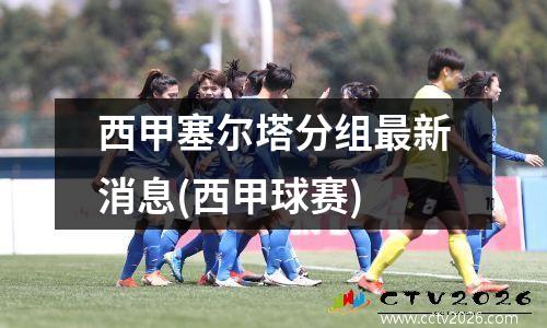西甲塞尔塔分组最新消息(西甲球赛)