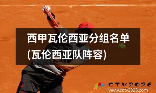 西甲瓦伦西亚分组名单(瓦伦西亚队阵容)