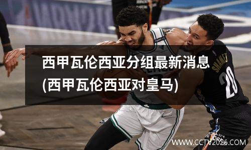 西甲瓦伦西亚分组最新消息(西甲瓦伦西亚对皇马)