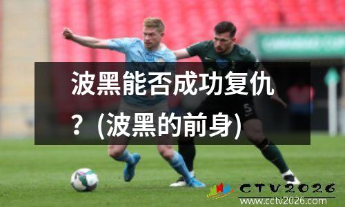 波黑能否成功复仇？(波黑的前身)