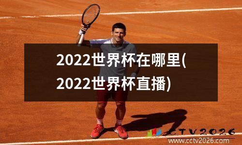 2022世界杯在哪里(2022世界杯直播)