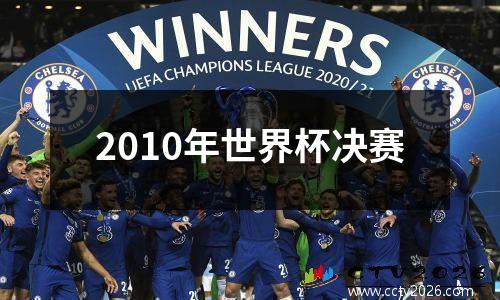 2010年世界杯决赛