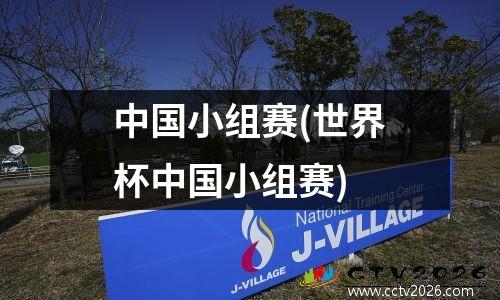 中国小组赛(世界杯中国小组赛)