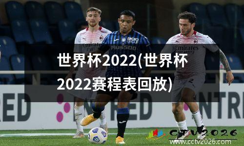 世界杯2022(世界杯2022赛程表回放)