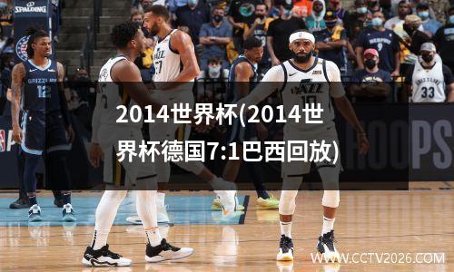 2014世界杯(2014世界杯德国7:1巴西回放)
