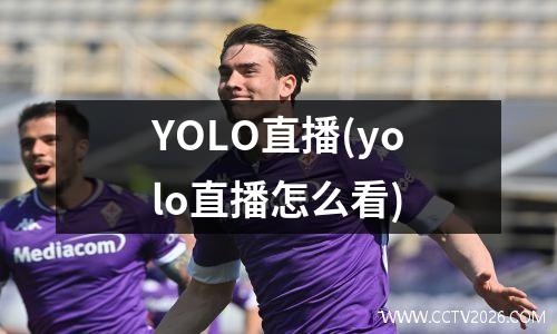 YOLO直播(yolo直播怎么看)