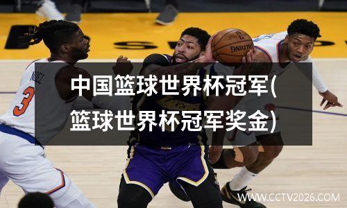 中国篮球世界杯冠军(篮球世界杯冠军奖金)