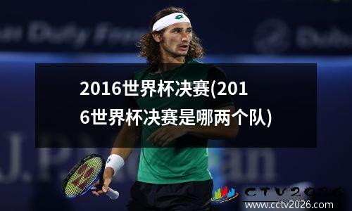 2016世界杯决赛(2016世界杯决赛是哪两个队)