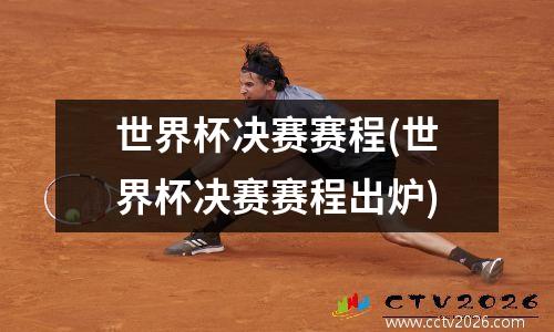 世界杯决赛赛程(世界杯决赛赛程出炉)