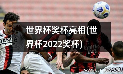 世界杯奖杯亮相(世界杯2022奖杯)