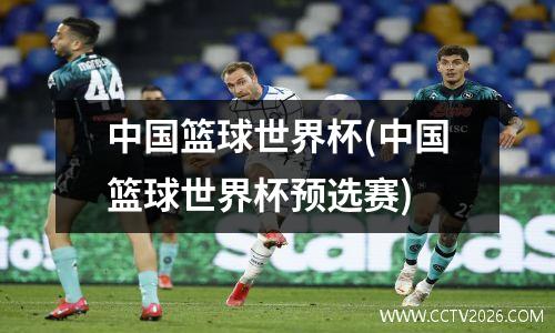 中国篮球世界杯(中国篮球世界杯预选赛)