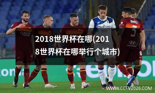 2018世界杯在哪(2018世界杯在哪举行个城市)