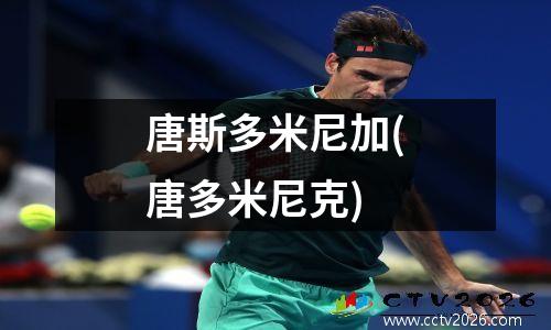 唐斯多米尼加(唐多米尼克)