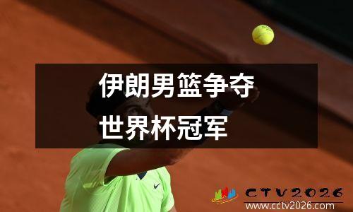 伊朗男篮争夺世界杯冠军