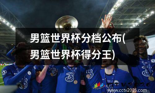 男篮世界杯分档公布(男篮世界杯得分王)