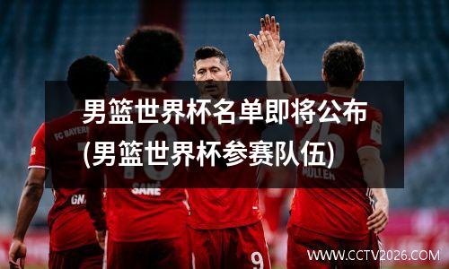 男篮世界杯名单即将公布(男篮世界杯参赛队伍)