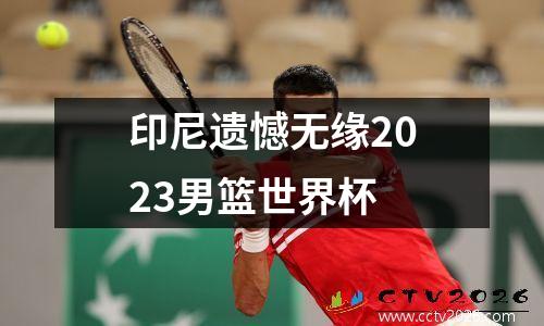 印尼遗憾无缘2023男篮世界杯