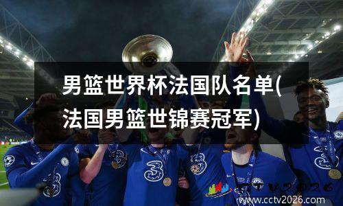 男篮世界杯法国队名单(法国男篮世锦赛冠军)