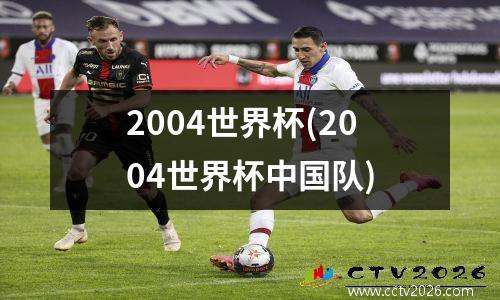 2004世界杯(2004世界杯中国队)