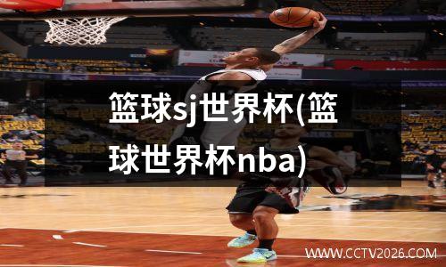 篮球sj世界杯(篮球世界杯nba)