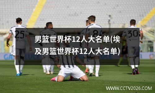 男篮世界杯12人大名单(埃及男篮世界杯12人大名单)