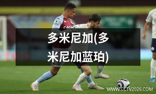 多米尼加(多米尼加蓝珀)