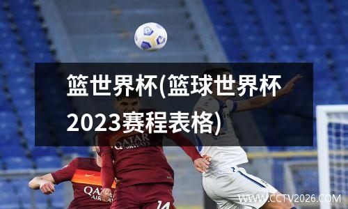 篮世界杯(篮球世界杯2023赛程表格)