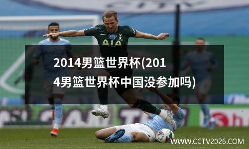 2014男篮世界杯(2014男篮世界杯中国没参加吗)