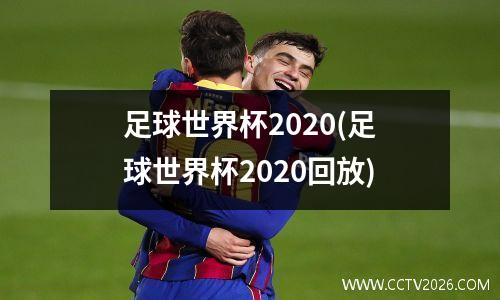足球世界杯2020(足球世界杯2020回放)