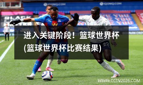 进入关键阶段！篮球世界杯(篮球世界杯比赛结果)