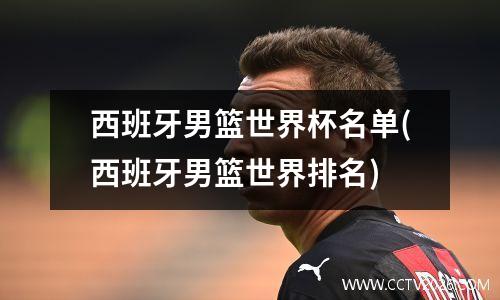 西班牙男篮世界杯名单(西班牙男篮世界排名)