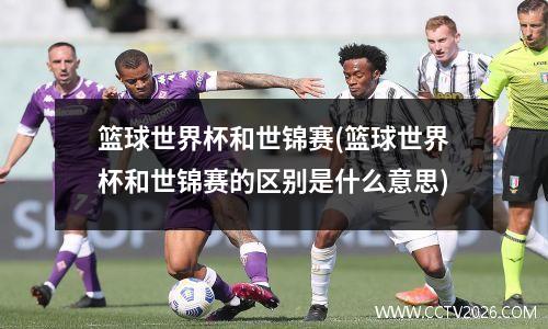 篮球世界杯和世锦赛(篮球世界杯和世锦赛的区别是什么意思)
