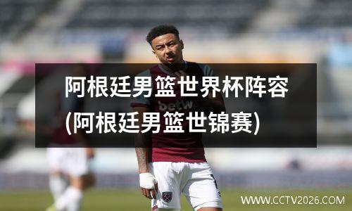 阿根廷男篮世界杯阵容(阿根廷男篮世锦赛)