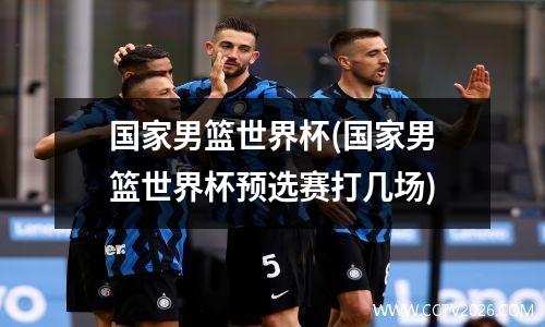 国家男篮世界杯(国家男篮世界杯预选赛打几场)