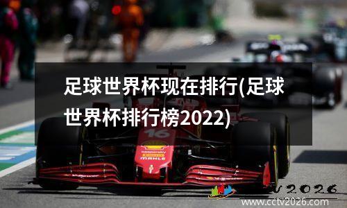 足球世界杯现在排行(足球世界杯排行榜2022)