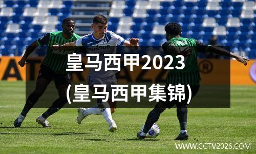 皇马西甲2023(皇马西甲集锦)