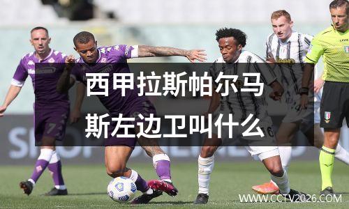 西甲拉斯帕尔马斯左边卫叫什么