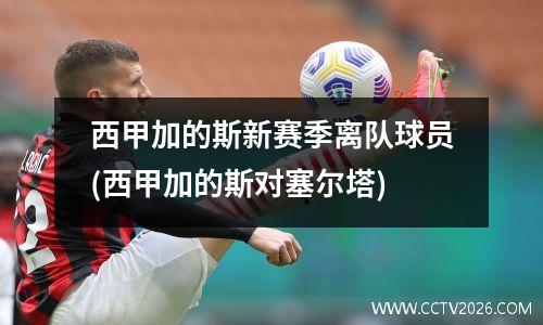 西甲加的斯新赛季离队球员(西甲加的斯对塞尔塔)